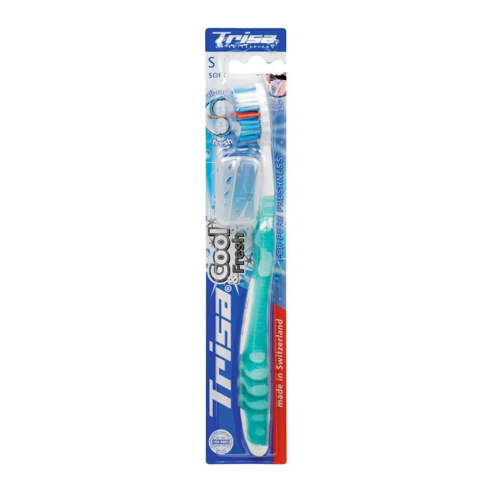 2.webp