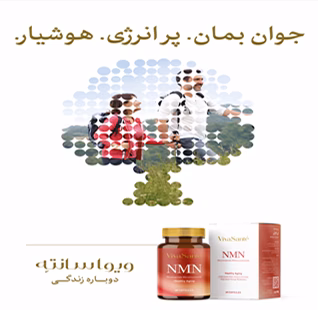 رامین 24