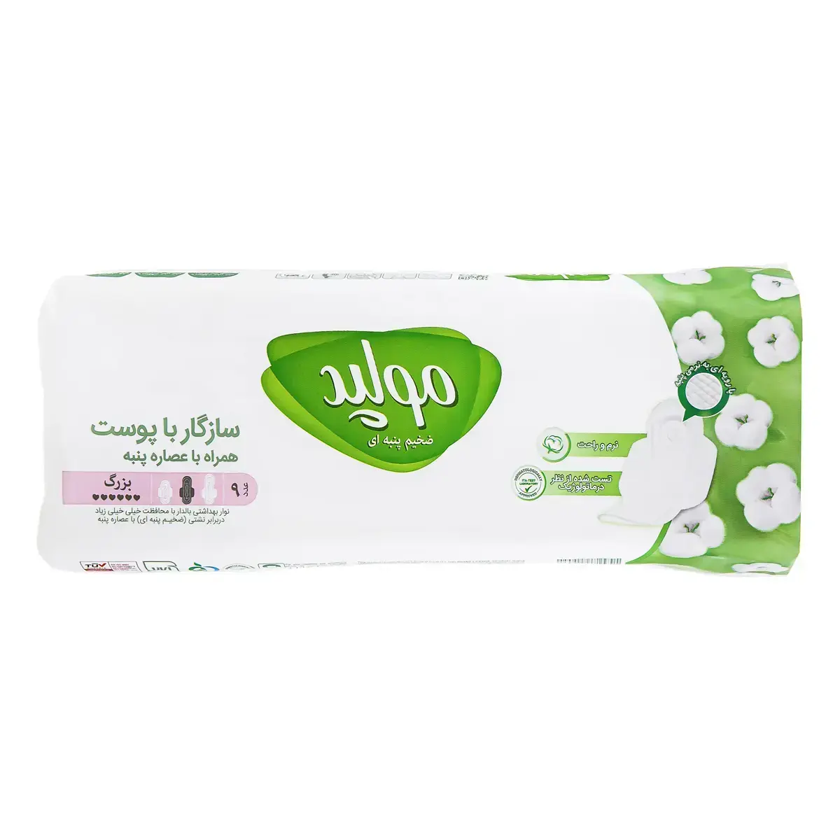 23.webp