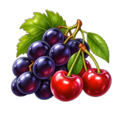 گیلاس و انگور سیاه